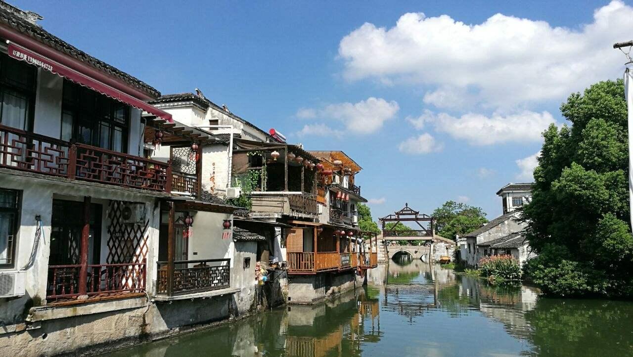 滚动的奶酪
